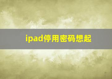 ipad停用密码想起