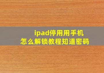 ipad停用用手机怎么解锁教程知道密码