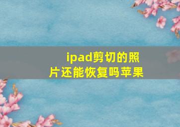 ipad剪切的照片还能恢复吗苹果