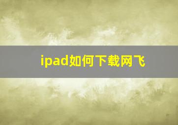 ipad如何下载网飞