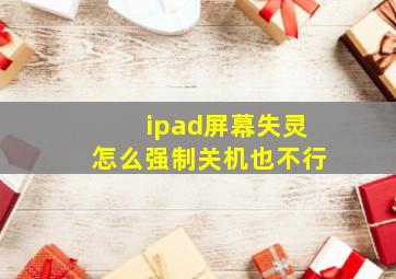 ipad屏幕失灵怎么强制关机也不行