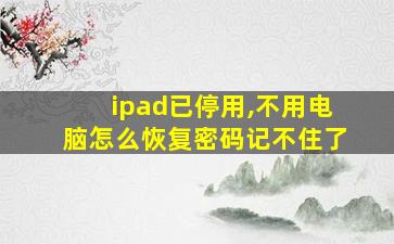 ipad已停用,不用电脑怎么恢复密码记不住了