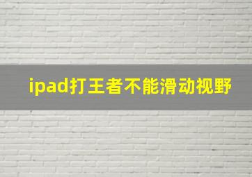 ipad打王者不能滑动视野