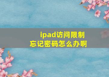 ipad访问限制忘记密码怎么办啊