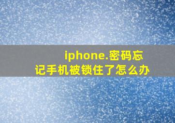 iphone.密码忘记手机被锁住了怎么办