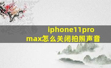 iphone11promax怎么关闭拍照声音