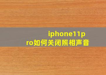 iphone11pro如何关闭照相声音