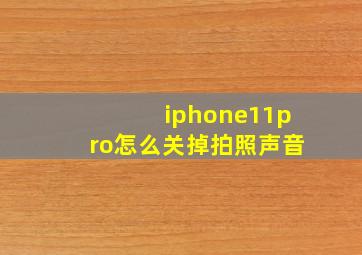 iphone11pro怎么关掉拍照声音