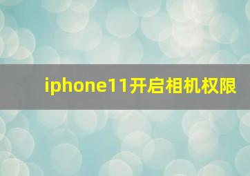 iphone11开启相机权限