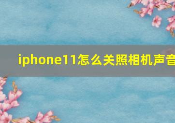 iphone11怎么关照相机声音