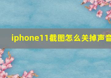 iphone11截图怎么关掉声音