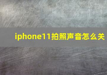 iphone11拍照声音怎么关