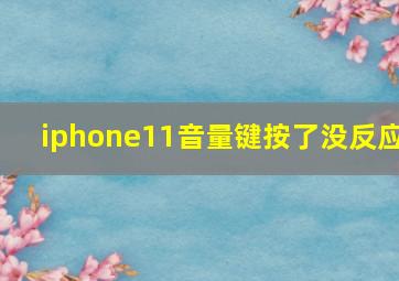 iphone11音量键按了没反应