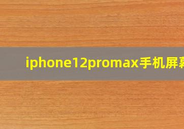 iphone12promax手机屏幕暗