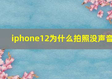 iphone12为什么拍照没声音