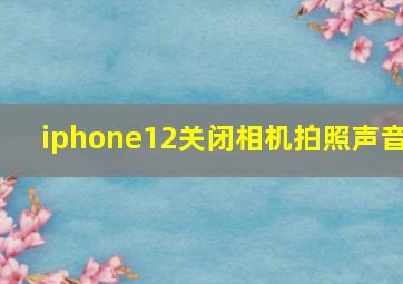 iphone12关闭相机拍照声音