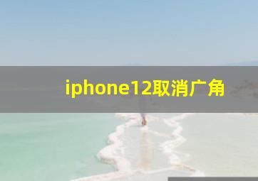 iphone12取消广角