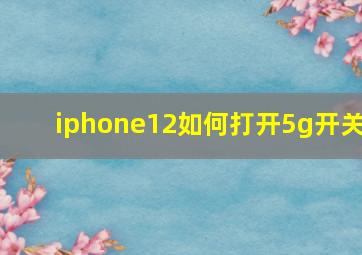 iphone12如何打开5g开关