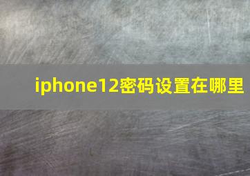 iphone12密码设置在哪里