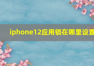 iphone12应用锁在哪里设置