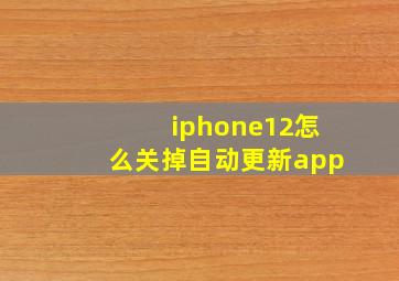 iphone12怎么关掉自动更新app