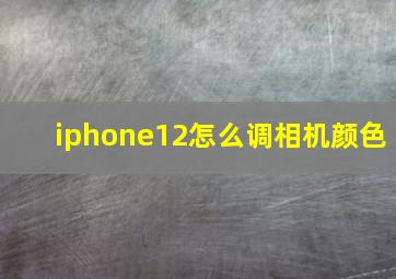 iphone12怎么调相机颜色