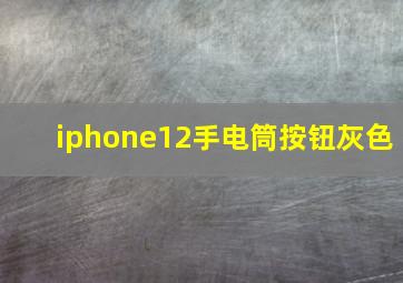 iphone12手电筒按钮灰色