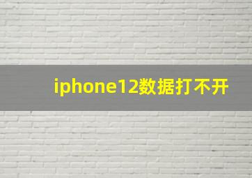 iphone12数据打不开