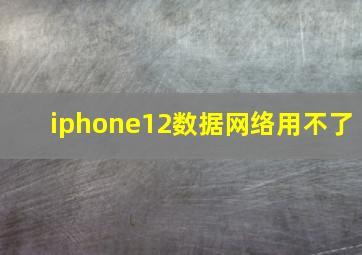 iphone12数据网络用不了