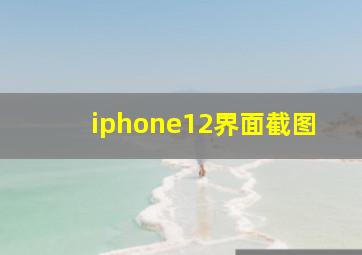 iphone12界面截图