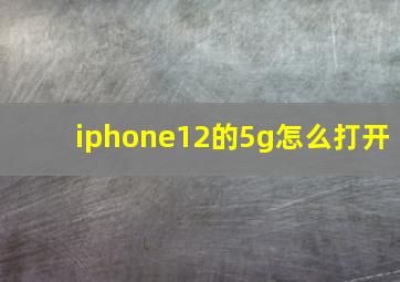 iphone12的5g怎么打开