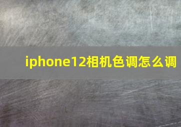 iphone12相机色调怎么调