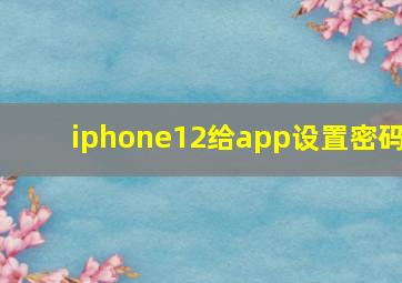 iphone12给app设置密码