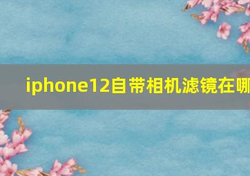 iphone12自带相机滤镜在哪