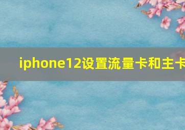 iphone12设置流量卡和主卡