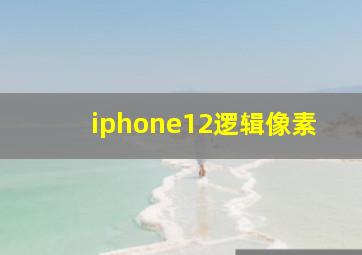 iphone12逻辑像素