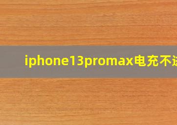 iphone13promax电充不进去