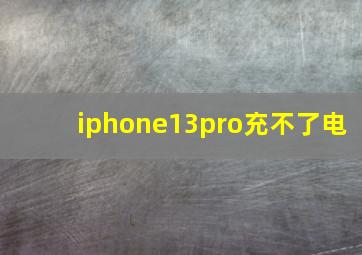 iphone13pro充不了电