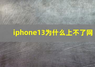 iphone13为什么上不了网