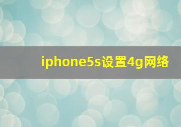 iphone5s设置4g网络