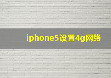 iphone5设置4g网络