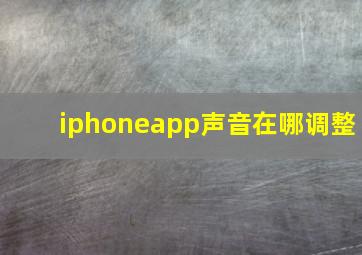 iphoneapp声音在哪调整