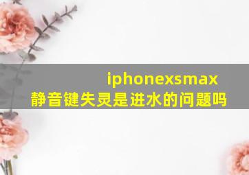 iphonexsmax静音键失灵是进水的问题吗