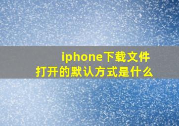 iphone下载文件打开的默认方式是什么