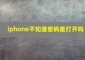 iphone不知道密码能打开吗