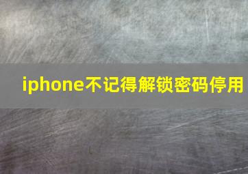 iphone不记得解锁密码停用