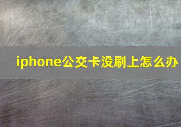 iphone公交卡没刷上怎么办