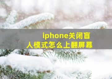 iphone关闭盲人模式怎么上翻屏幕