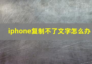 iphone复制不了文字怎么办