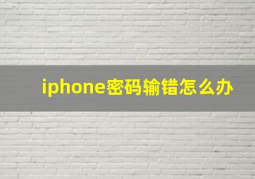 iphone密码输错怎么办